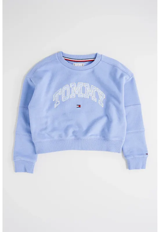 Bluza de trening cu logo brodat - Albastru lavanda
