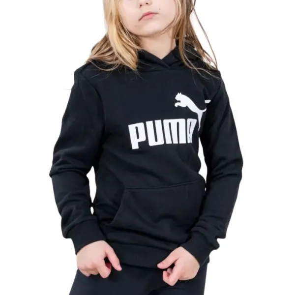 ESS Logo Hoodie TR G Puma Black 587030-01