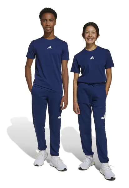 Pantaloni de trening cu logo si snur in talie Essentials - Alb/Albastru inchis
