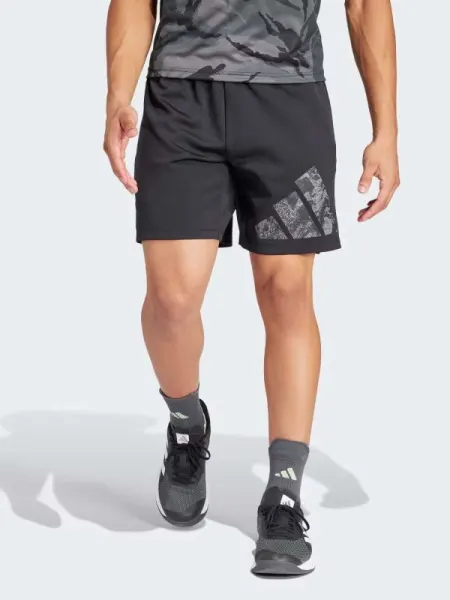 Pantaloni scurti Workout Logo Knit