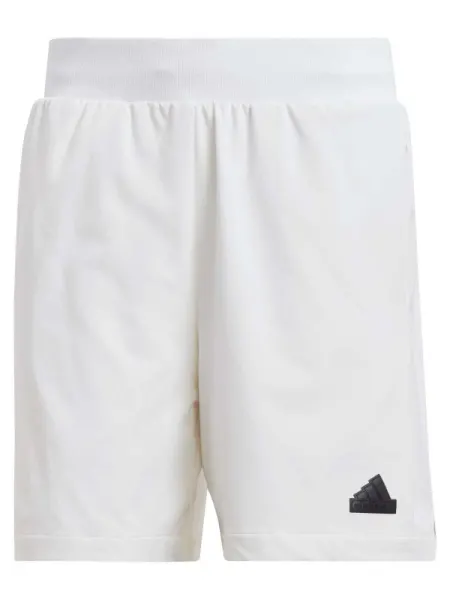 Pantaloni scurti Z.n.e. Woven