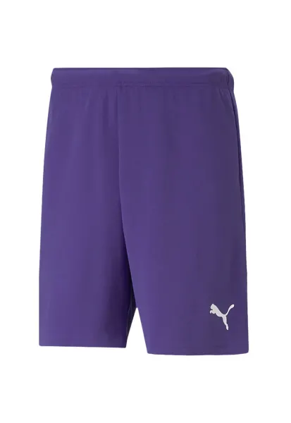 Pantaloni sport barbati teamRISE - DryCell - violetdaazxf - Mov