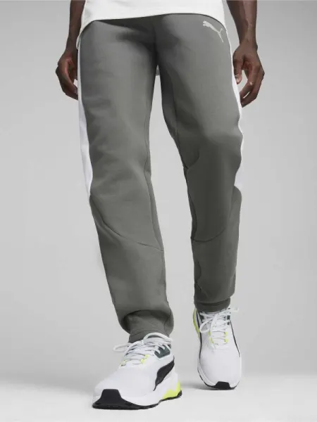 Pantaloni sport Evostripe Dk