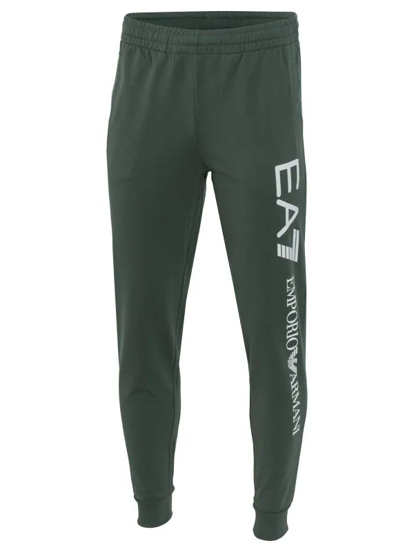 Pantaloni sport Train Logo Series M Ch Coft