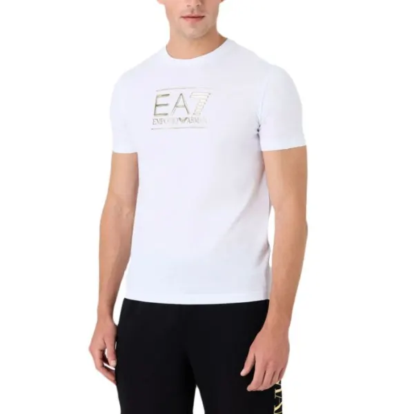 T-Shirt Manica Corta Cotone Pima Cotton Big Logo - Gold Label PJM9Z-6RPT19-1100