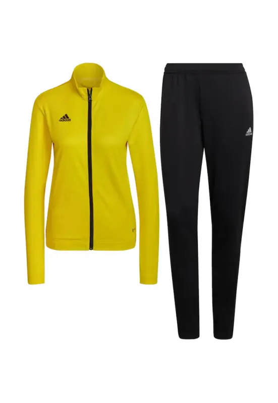 Trening Entrada 22 Track femei - Galben | Negru