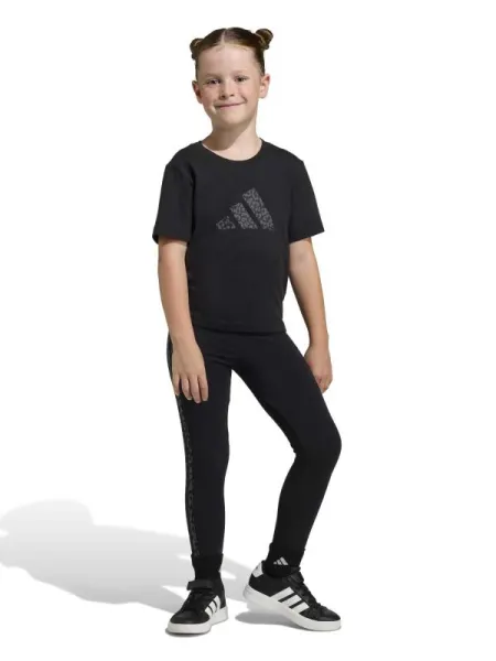 Trening Seasonals Animal