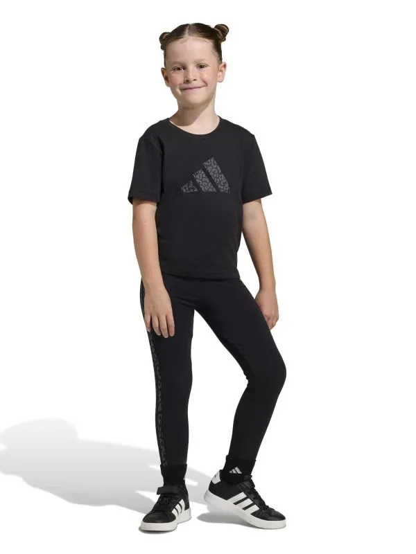 Trening Seasonals Animal