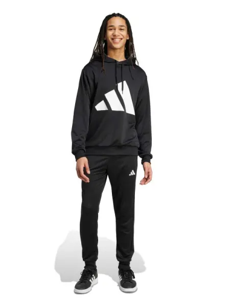 Trening Sportswear Big Logo